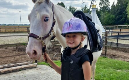 Meisje met haar paard